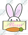 Picture of Bunny Name Plaque