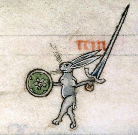 bunny with a sword and buckler