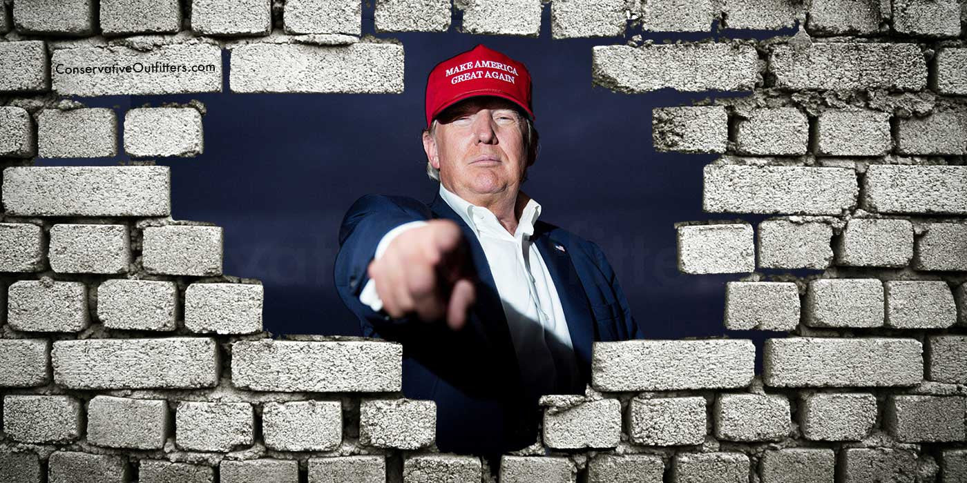 Image result for donald trump wall