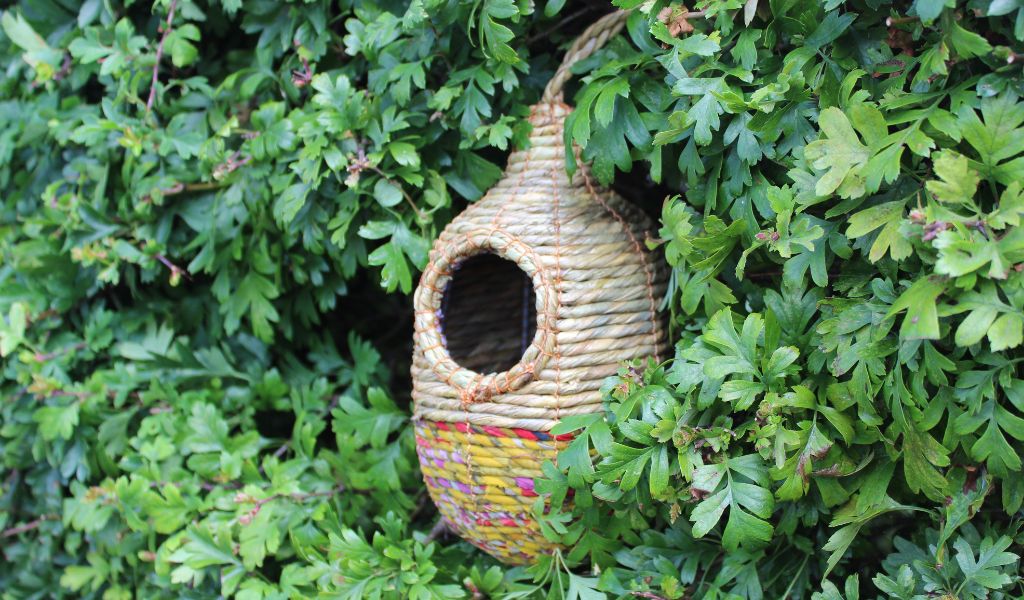 Best Eco Gifts - gifts for eco warriors - Provide a home for the birds - artisan bird nester