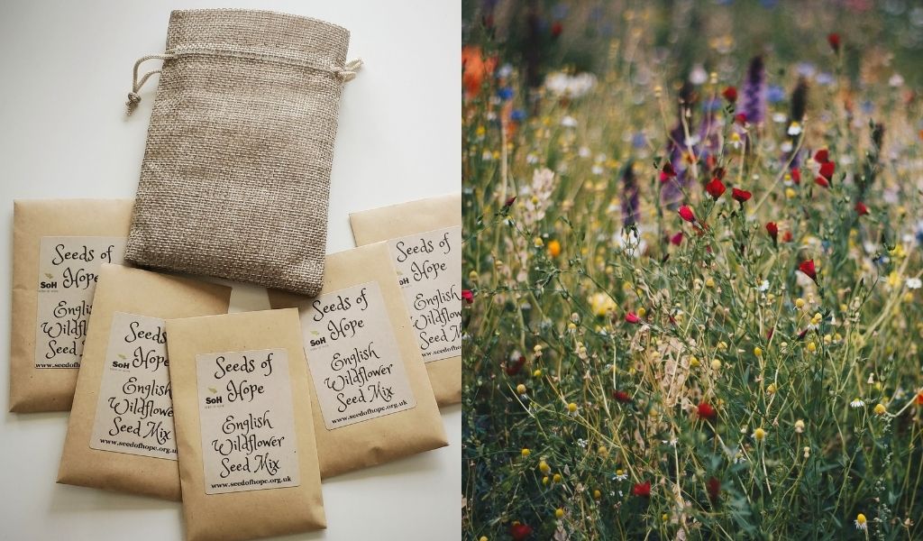 Father's Day Gifts You'll Both Love - ethical and sustainable father's day gift ideas - wildflower seeds gift set