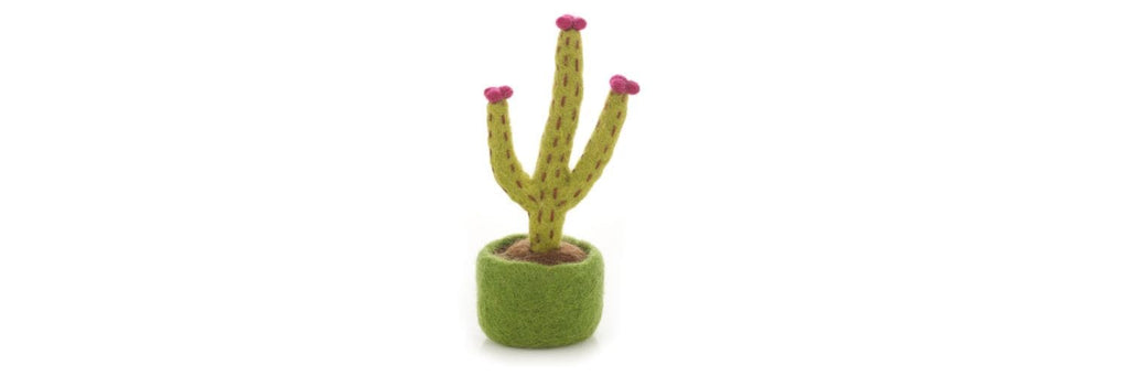 Meaningful Valentine's Day Gifts 2023 - blossoming hedgehog cactus alternative to flowers