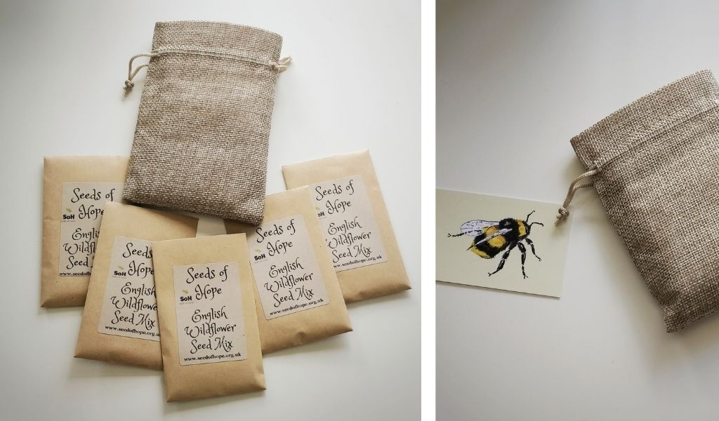 Secret Santa Gifts  Ethical & Eco Gifts wildflower seed gift set