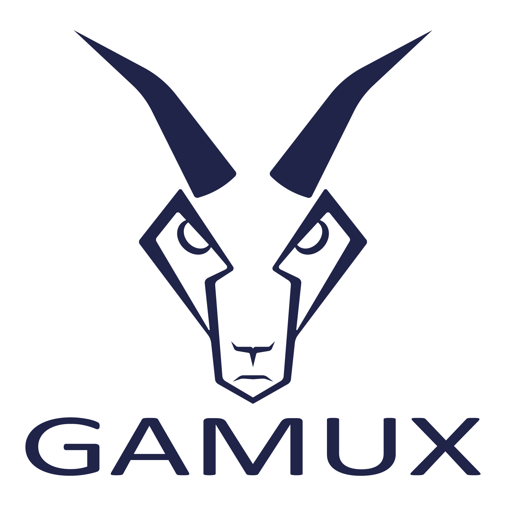 GAMUX Bikes