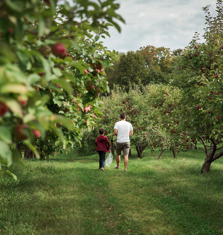 A deep connection to land and nature: Castello del Sole, Isabella's family farm in Italy