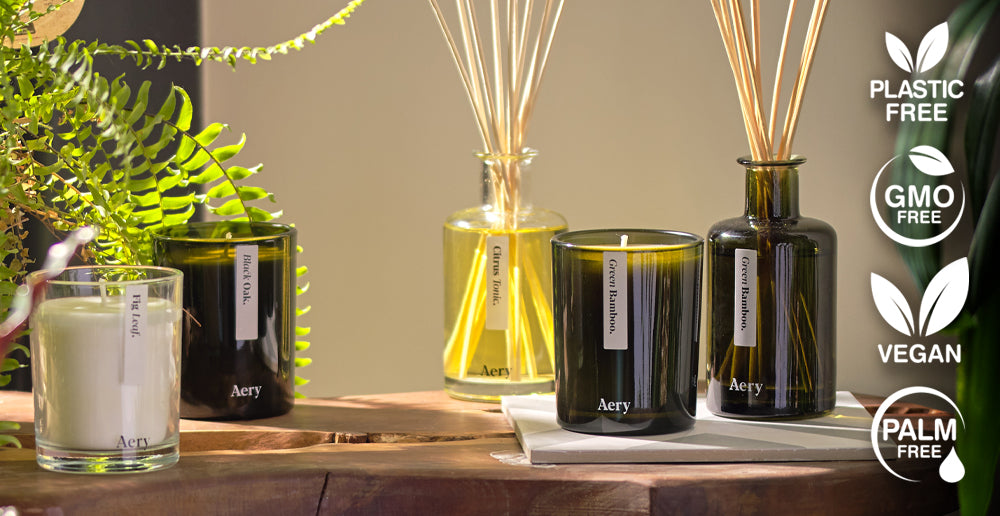 Aery Glass candles and diffusers on a wooden shelf with house plants