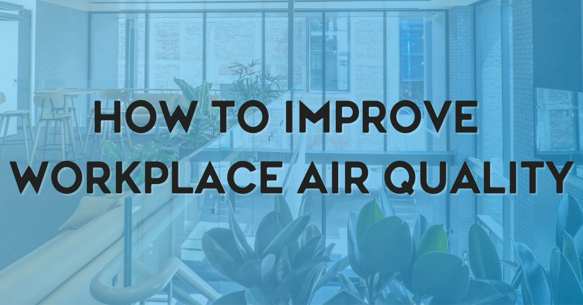 How to Improve Workplace Air Quality