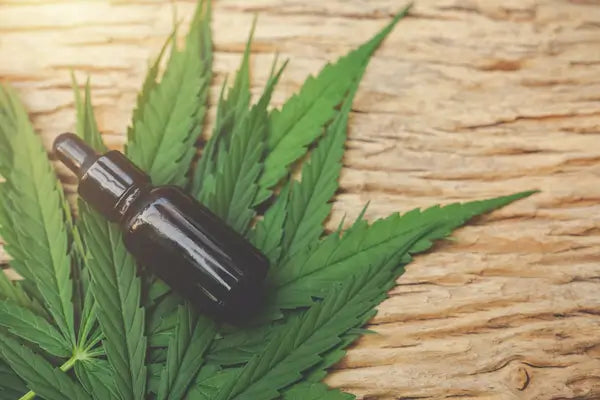 cannabis leaf and oil