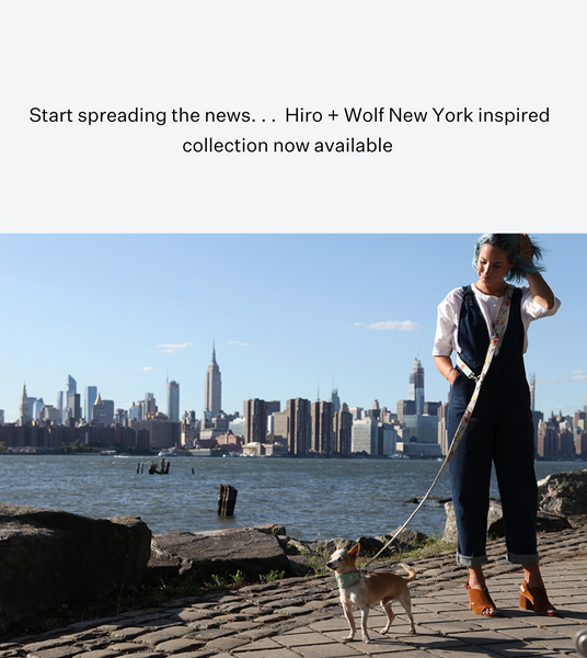 Hiro + Wolf New York! New York Dog Accessories Collectio