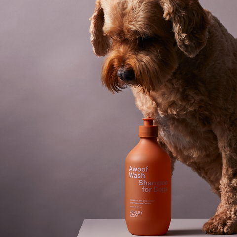Awoof Wash Shampoo for Dogs by Ashley & Co