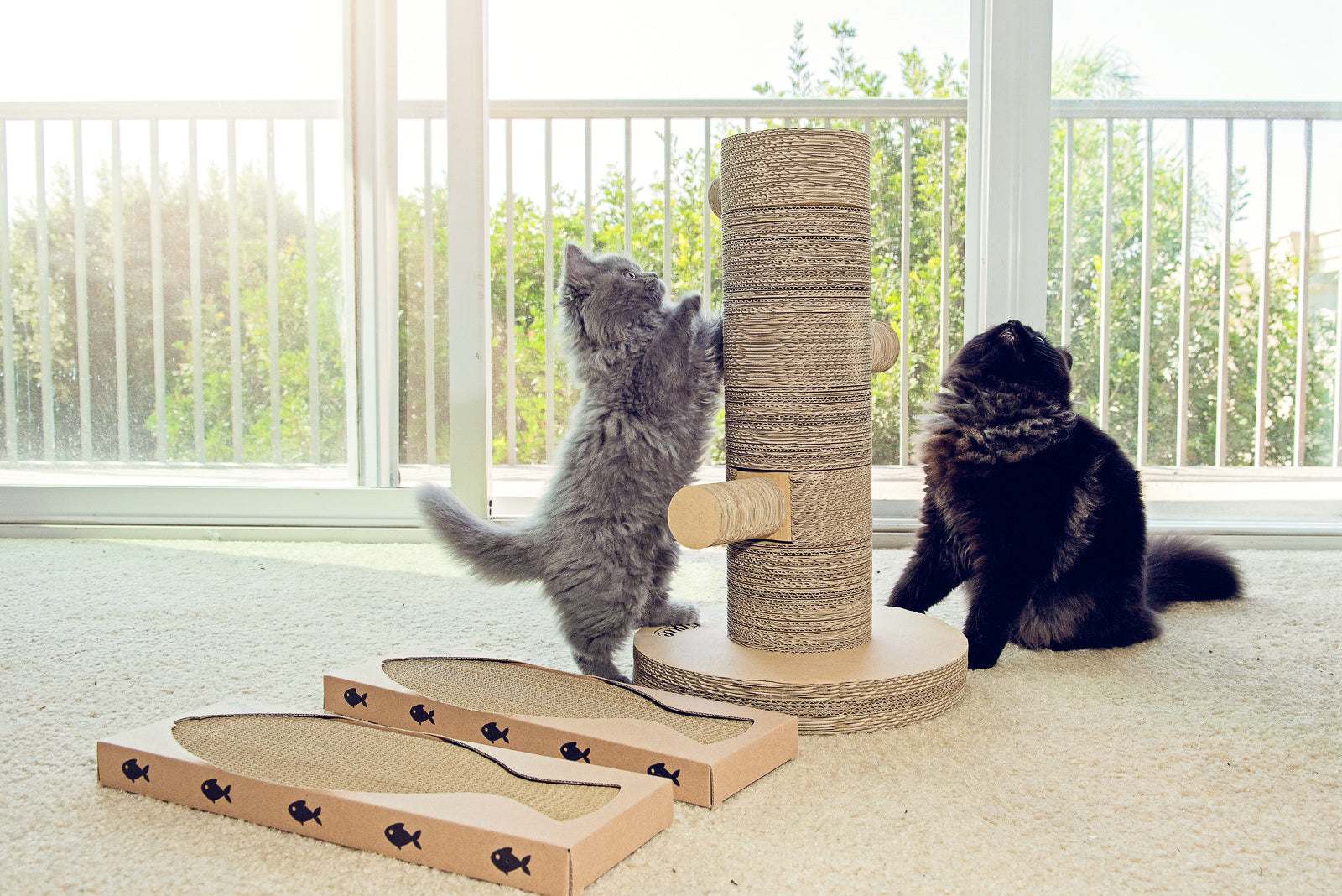 buy scratching post