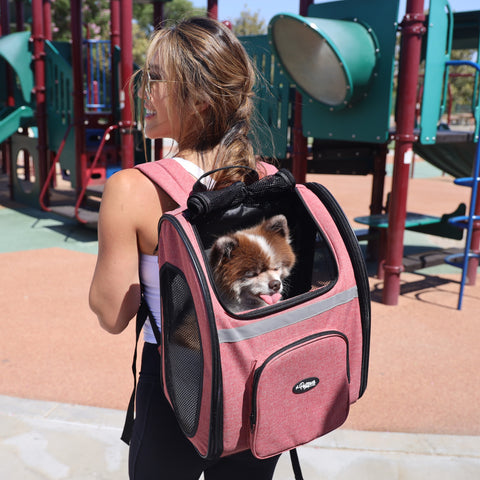 Dog sticking tongue out in Coral Backpacker Pet Carrier
