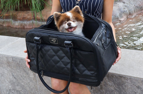 Dog smiling in Petique's black Lux Pet Carrier