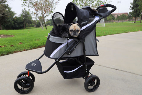 2 pugs in Galaxy (gray) Revolutionary Pet Stroller