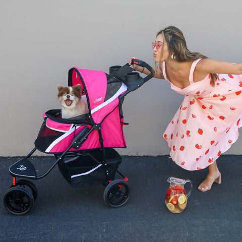 smiling Pomeranian in pink pet stroller