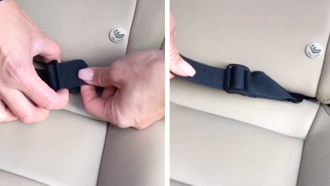 adjusting the Petique 5-in-1 Pet Carrier car seat strap