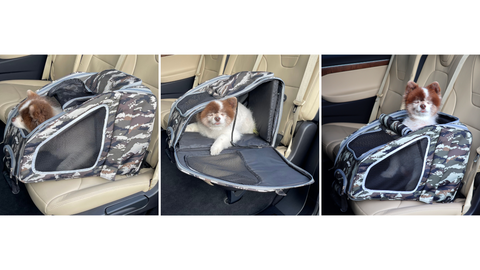 3 different openings for Petique 5-in-1 Pet Carrier