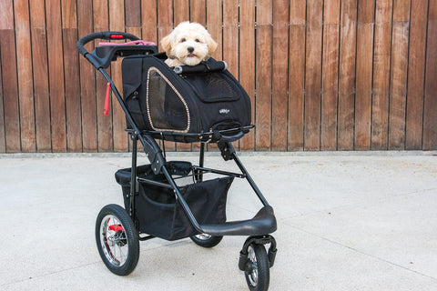 Dog in black 5-in-1 pet stroller