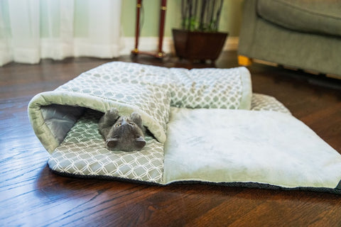 cat hiding in tunnel hide and seek cat play mat