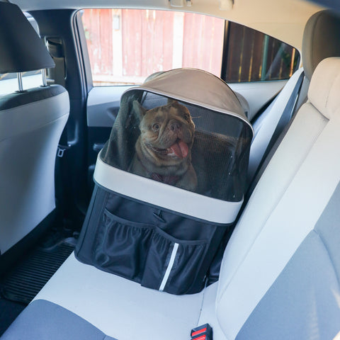 frenchie in pet car seat