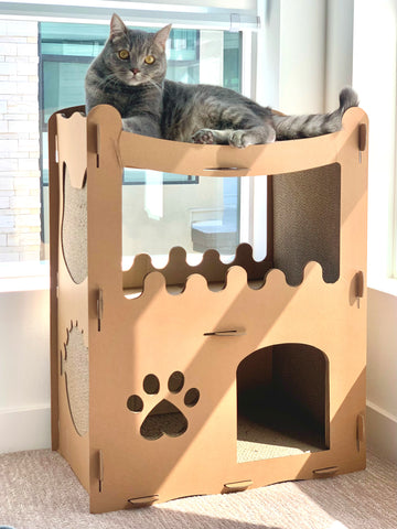 petique's cat scratchboard house