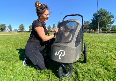 dog treats for pomeranian in green pet jogger