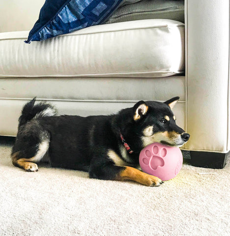 Pink Paw Me! Treat Ball Dispenser