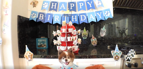 Peanut Butter & Banana Birthday Cupcake Dog Treat Recipe