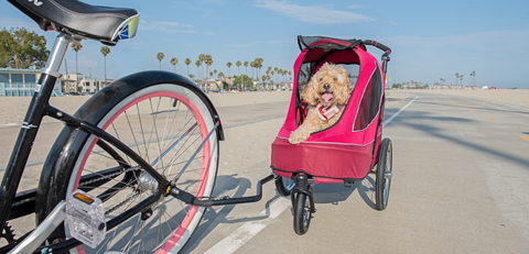 Petique's All Terrain Jogger with Bike Adapter