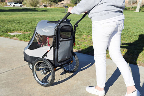 dog with tongue out in gray Trailblazer Pet Jogger on a stroll in a park