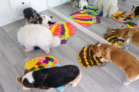 Snuffle Mat Puzzle Pads for Dogs