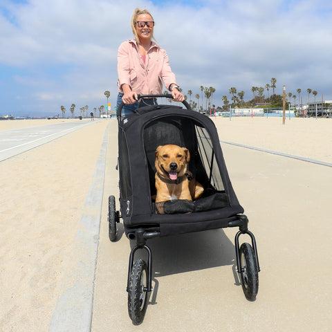 large dog black stroller