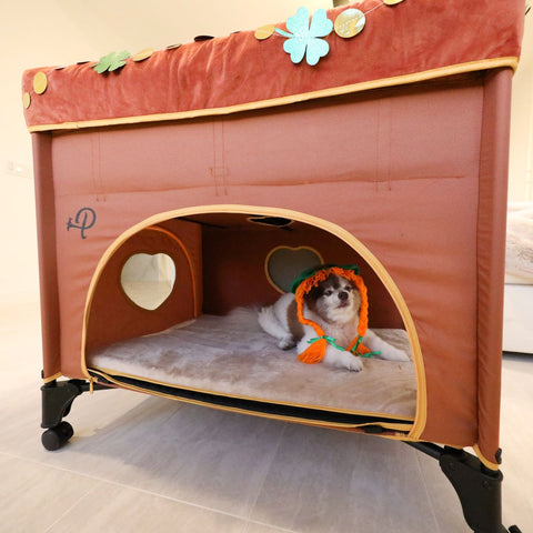 dog on bottom of orange dog bunk bed - Petique's Bedside Lounge Pet Bed