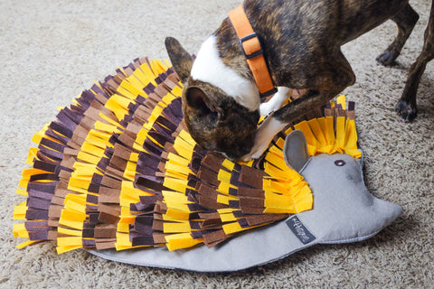 Boston Terrier with Snuffle Mat Puzzle Pad