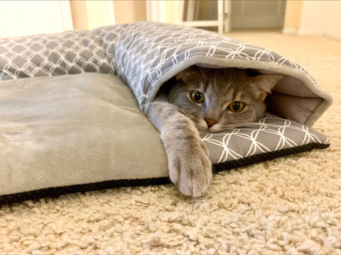 cat hiding in tunnel hide and seek pet play mat