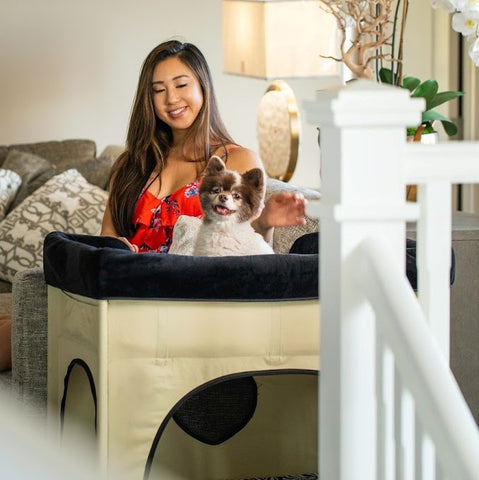 Petique's Bedside Lounge Pet Bed Dog Bunk Bed