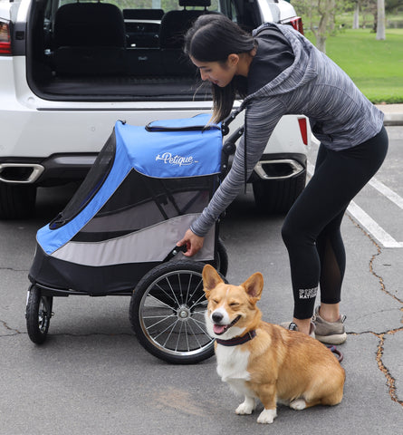 corgi exercise dog stroller pet jogger