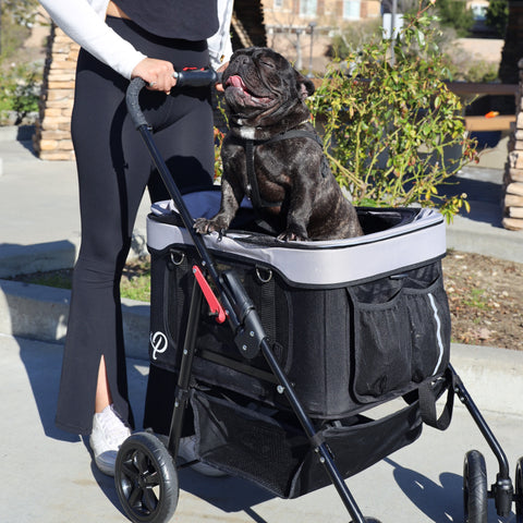 Dog mom pushing frenchie in gray and black pet stroller, 4-in-1 pet travel system