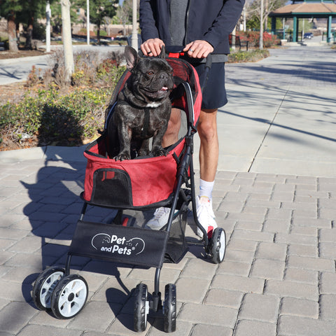 frenchie in red pet stroller