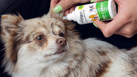 Petique Pet Ear Cleaner Odor Eliminator