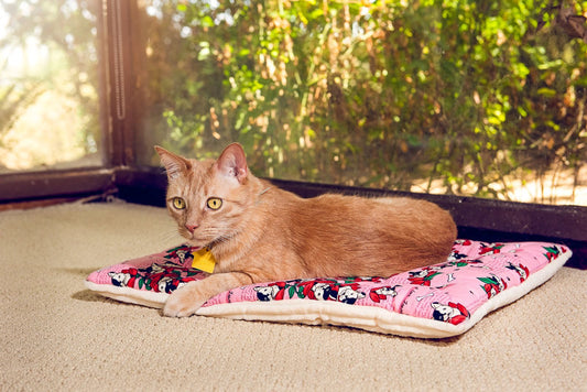 Play with your cute cat Pet Mat for Sale by FMARC