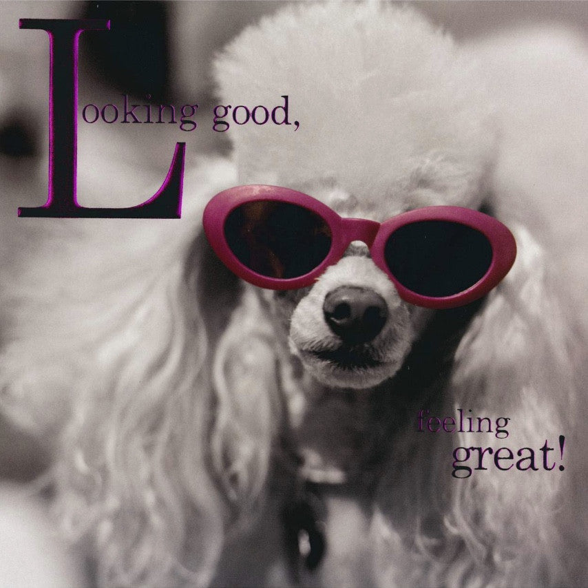 Looking Good Feeling Great Poodle Card - 