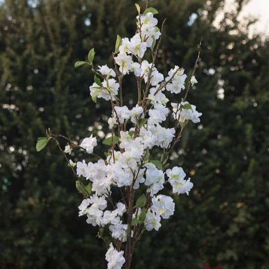 White Cherry Blossom Branches | Putti Fine Furnishings Canada