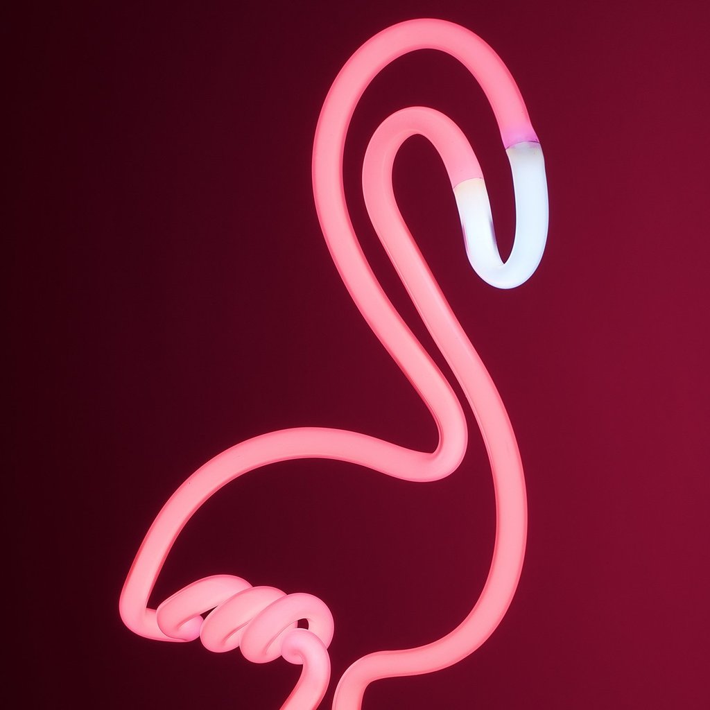 pink flamingo neon light