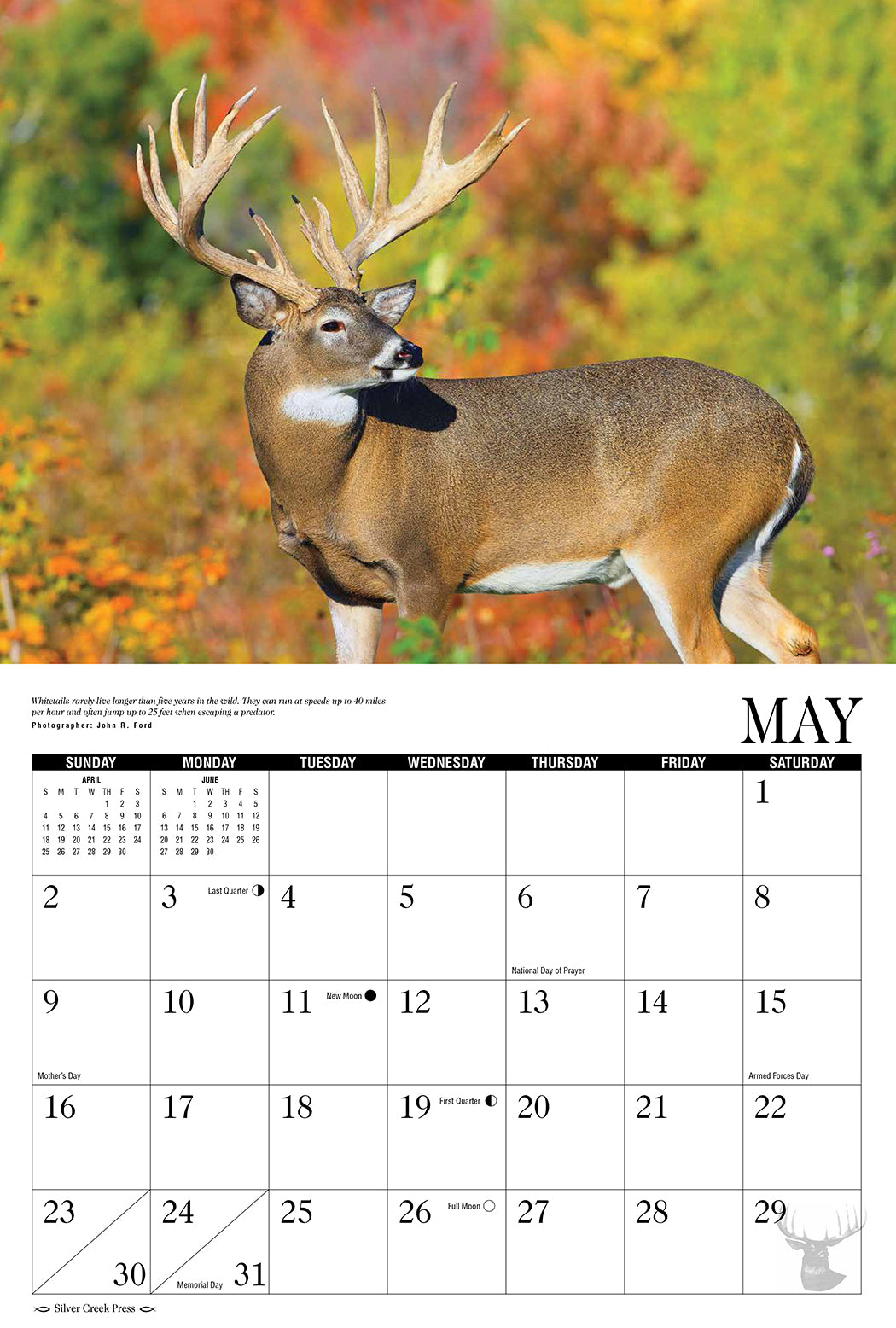 2021 Whitetail Deer Calendar Silver Creek Press