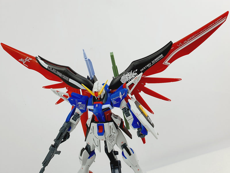 destiny gundam hg