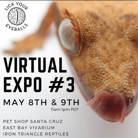 Lick Your Eyeballs Virtual Reptile Show