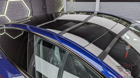 2023 Tesla Model Y / Blue Roof