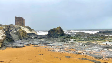 LAdy Janet Anstruther Tower Elie