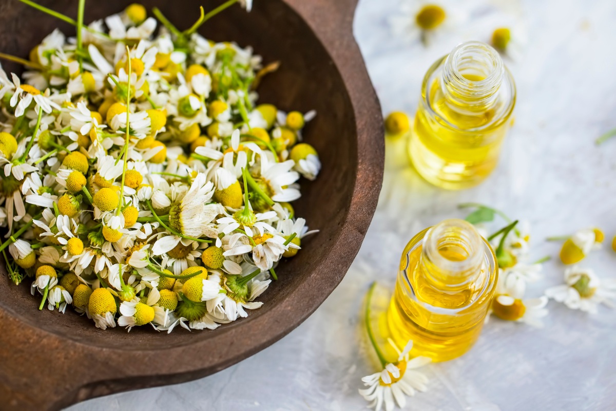 puremetics blog posts chamomile oil